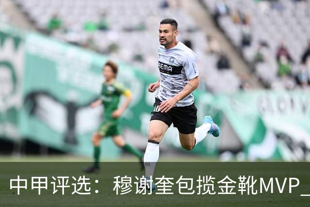 中甲评选：穆谢奎包揽金靴MVP 李金羽最佳教练